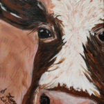 Cow